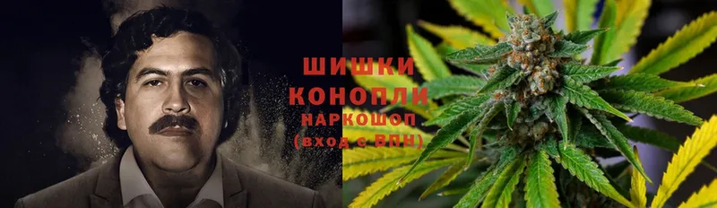 Марихуана THC 21%  OMG маркетплейс  Задонск 